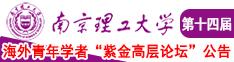 我妻看女人日鸡吧南京理工大学第十四届海外青年学者紫金论坛诚邀海内外英才！